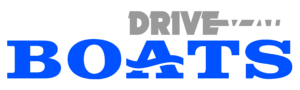 DriveMag logo